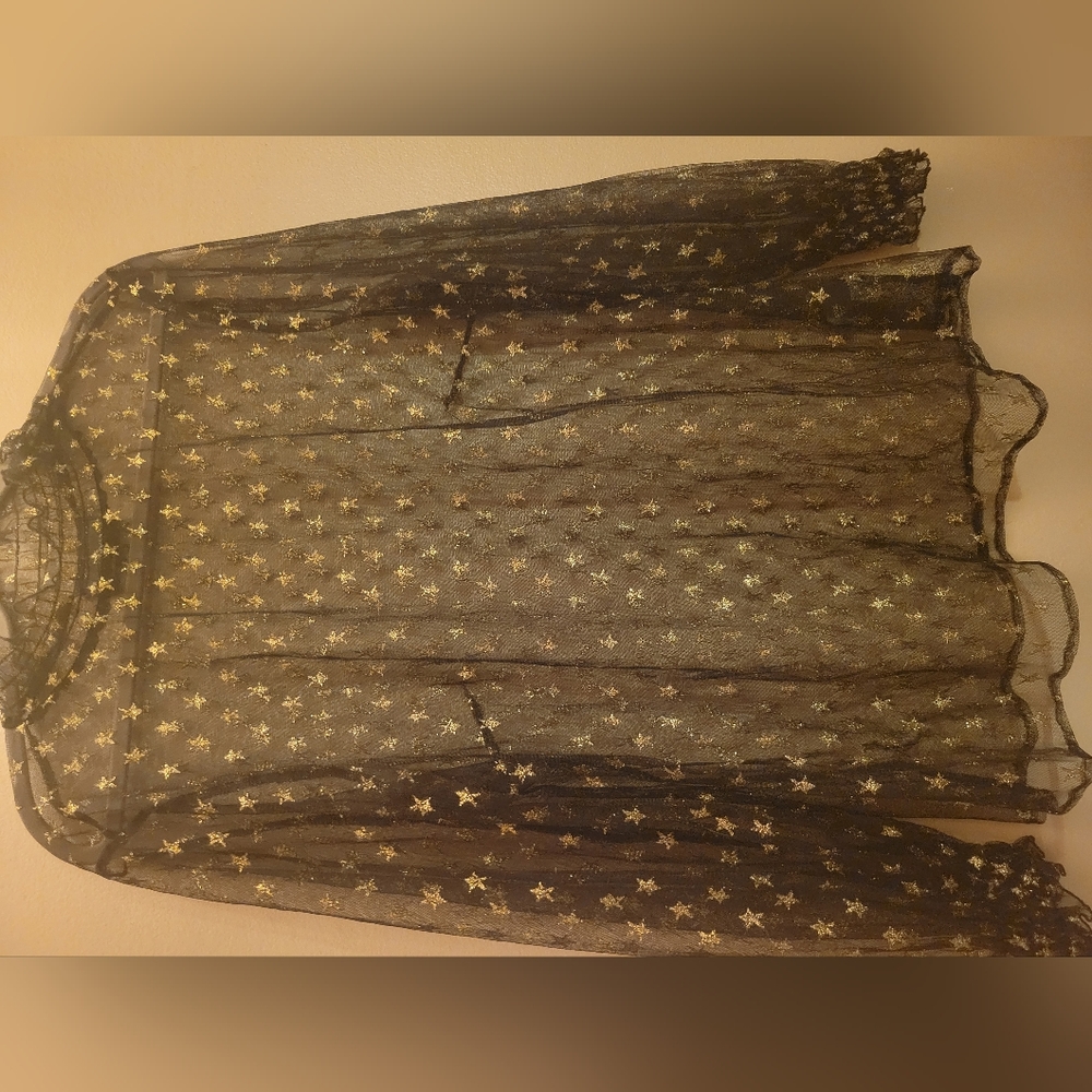 Sheer pullover top. Lane Bryant size 18/20